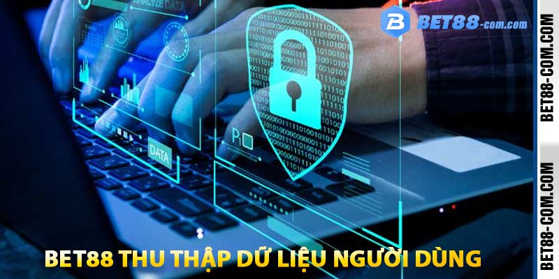 bet88 thu thập dữ liệu người dùng